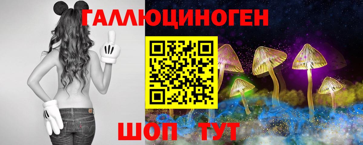 Галлюциногенные грибы Magic Shrooms  что такое   Галлюциногенные грибы Psilocybine cubensis  Воткинск  Вход с VPN 